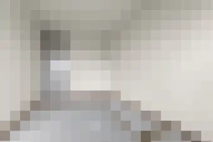 Aalscholversingel 522 Velp thumbnail 12