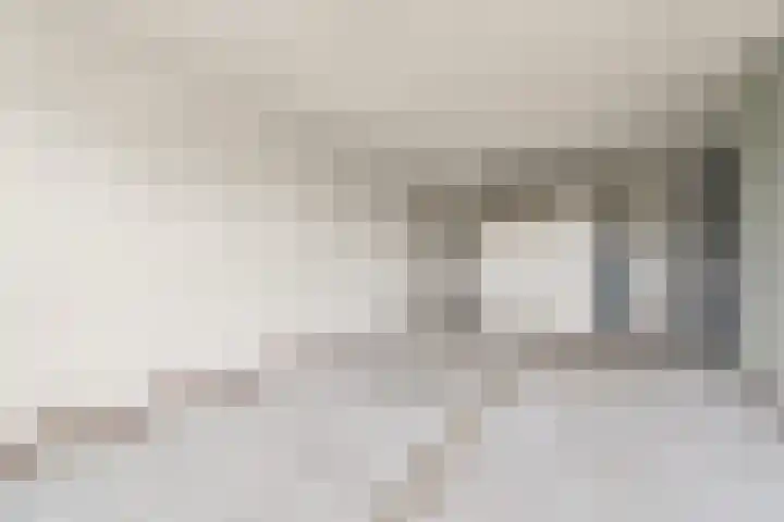 Aalscholversingel 522 Velp thumbnail 14
