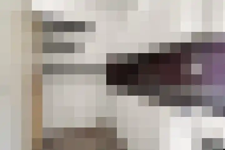 Aalscholversingel 522 Velp thumbnail 15