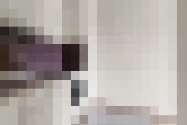 Aalscholversingel 522 Velp thumbnail 16