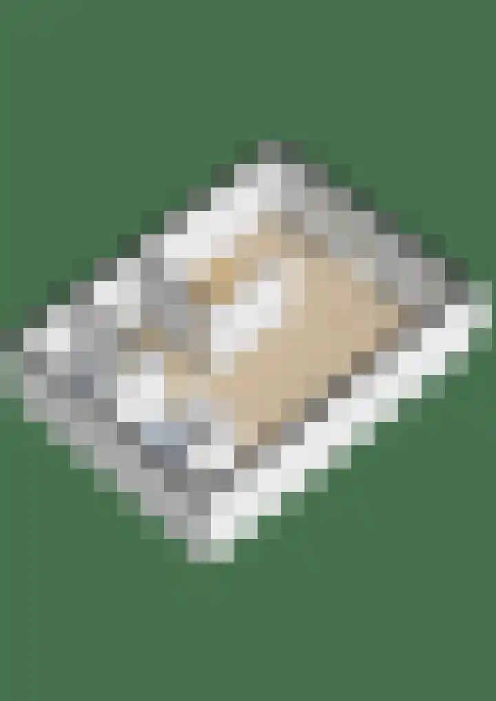 Aalscholversingel 522 Velp thumbnail 23