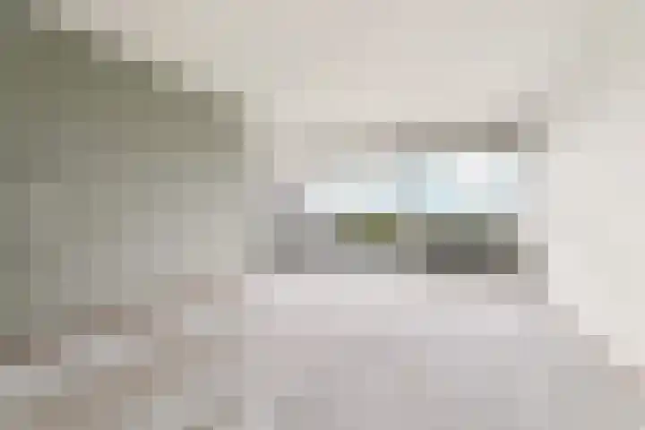Aalscholversingel 522 Velp thumbnail 5