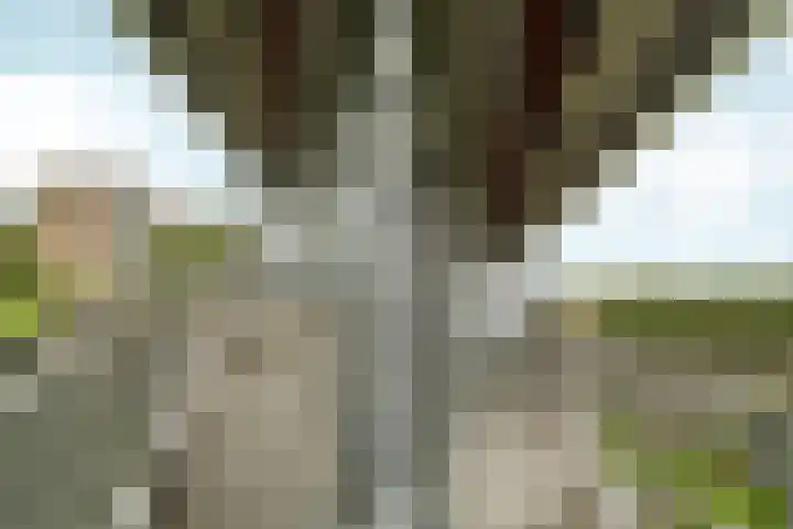Aalscholversingel 522 Velp thumbnail 8