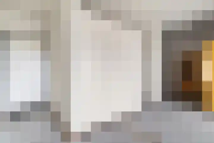 Aalscholversingel 522 Velp thumbnail 9