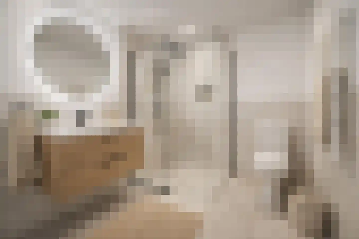 Aalscholversingel 554 Velp thumbnail 15