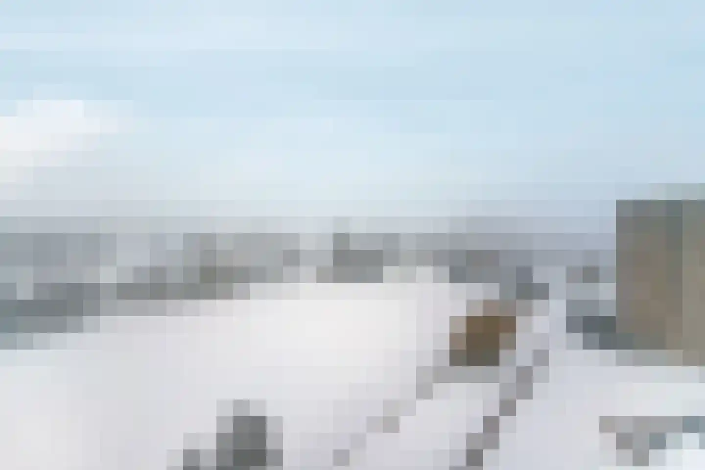Aalscholversingel 554 Velp thumbnail 6