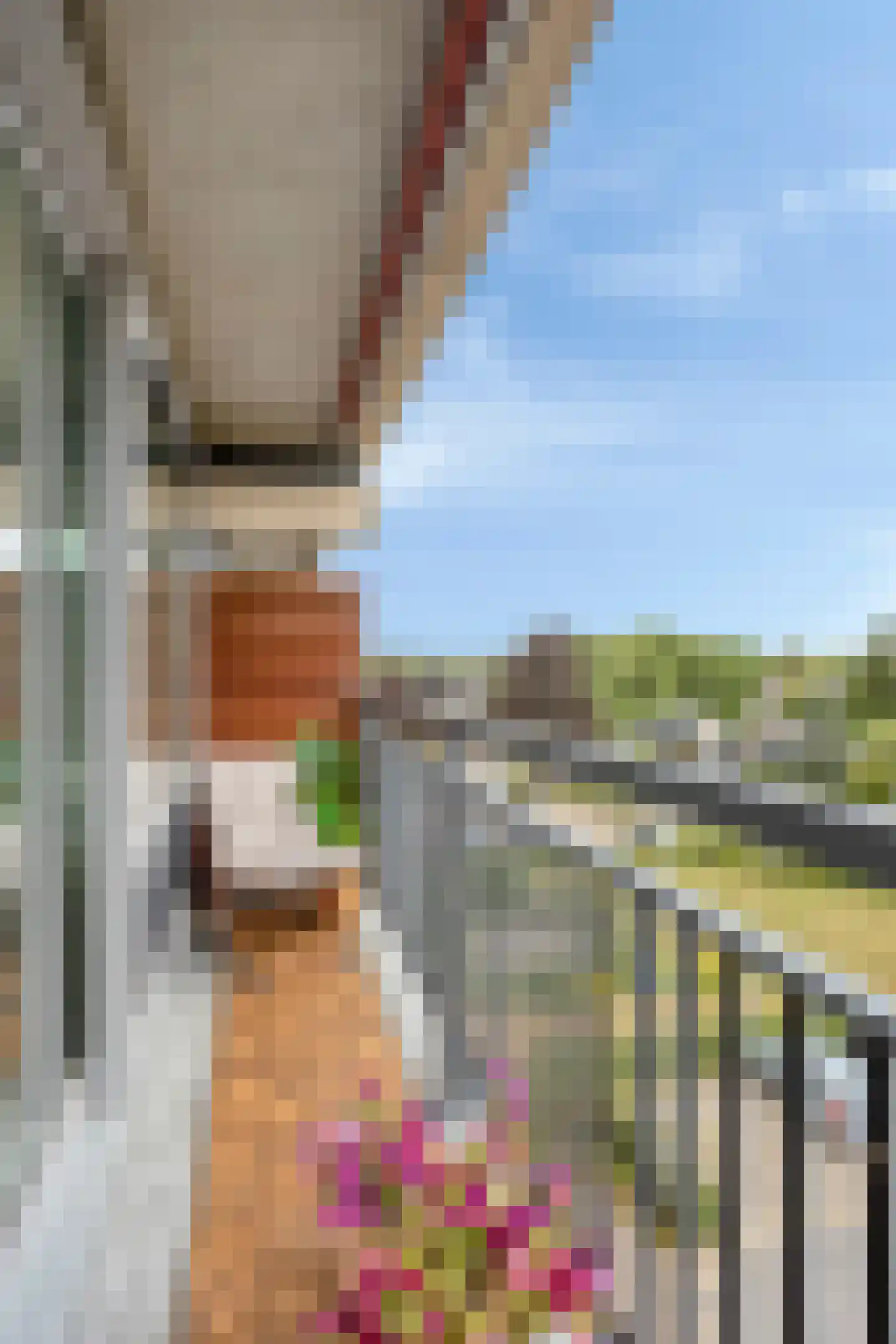 Aalscholversingel 56 Velp thumbnail 14