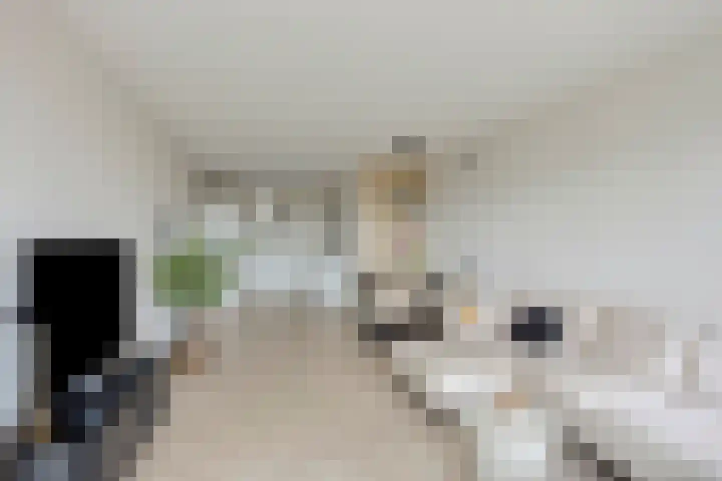 Aalscholversingel 56 Velp thumbnail 17