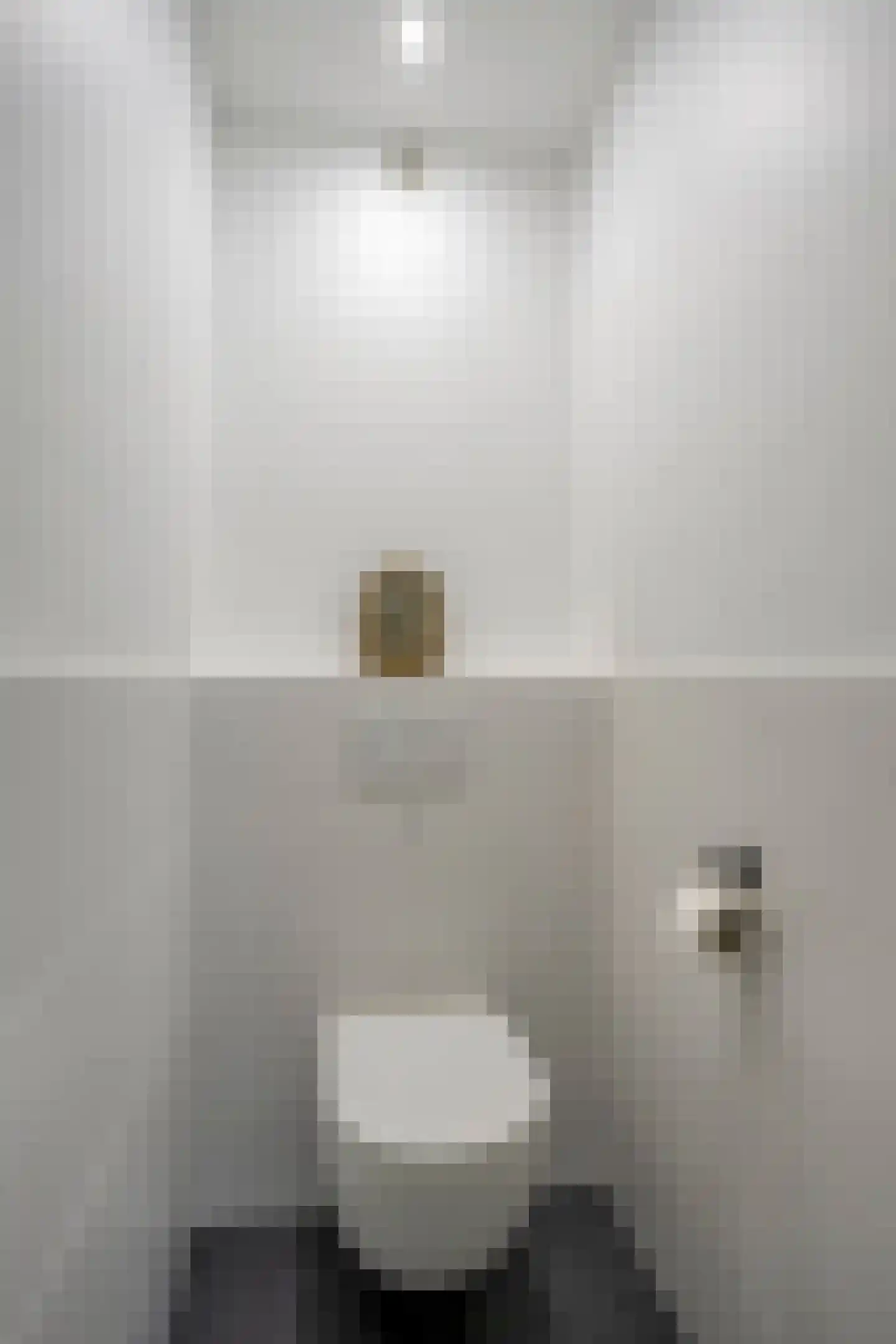 Aalscholversingel 56 Velp thumbnail 24