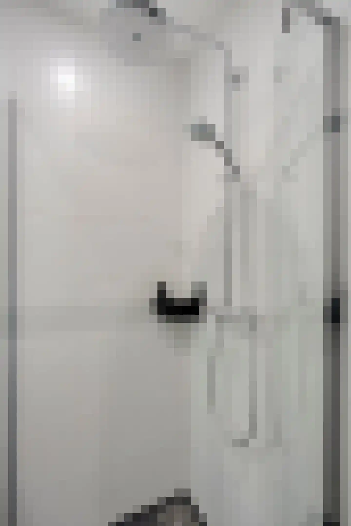 Aalscholversingel 56 Velp thumbnail 26