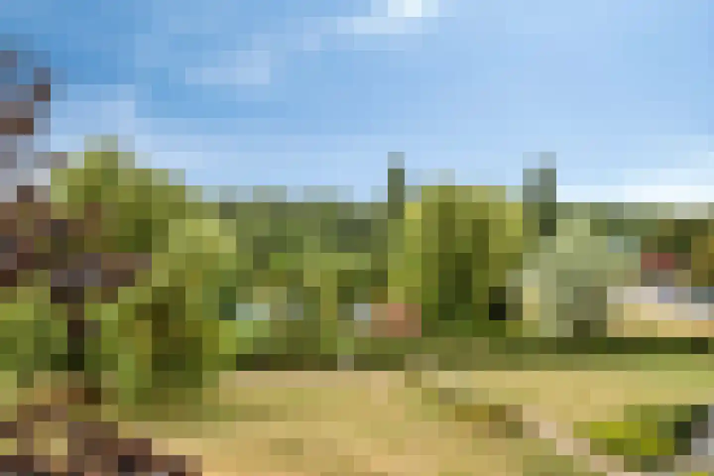 Aalscholversingel 56 Velp thumbnail 30