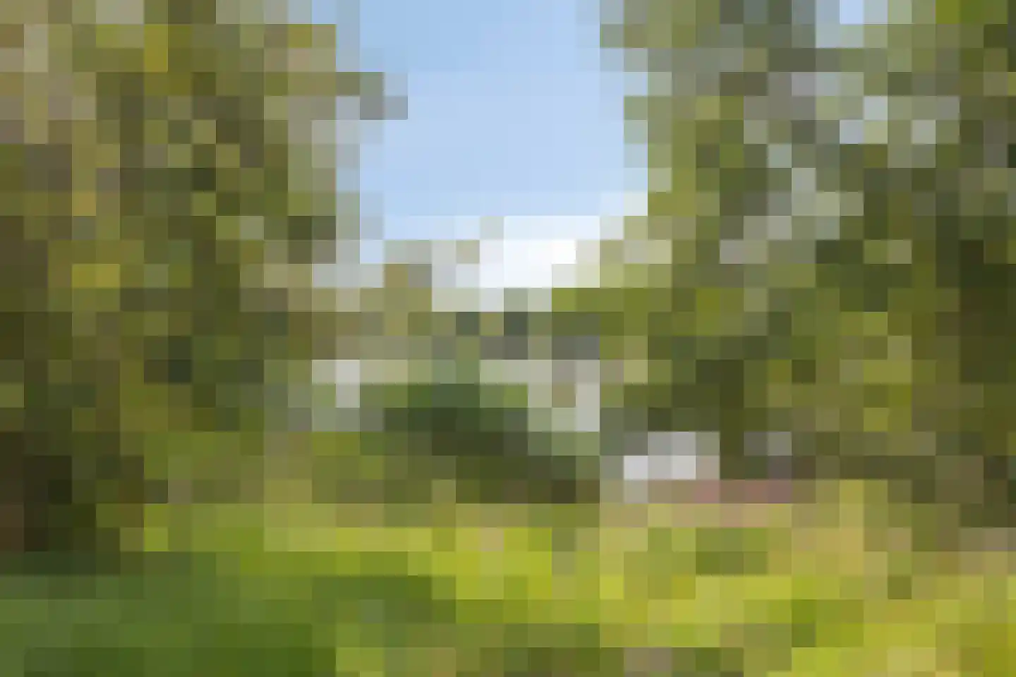 Aalscholversingel 56 Velp thumbnail 36