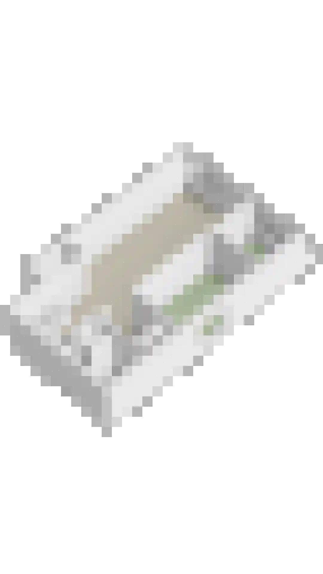 Aalscholversingel 56 Velp thumbnail 39