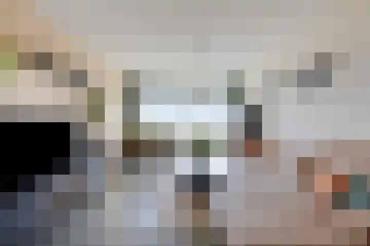 Aalscholversingel 566 Velp thumbnail 11