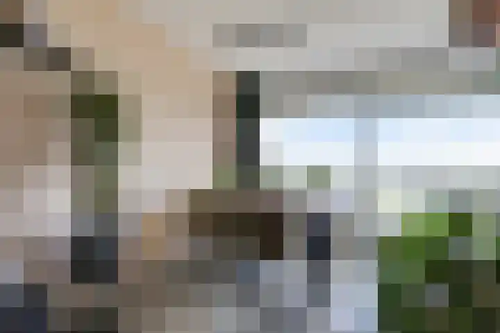 Aalscholversingel 566 Velp thumbnail 13