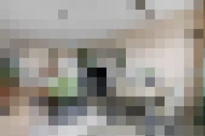 Aalscholversingel 566 Velp thumbnail 14