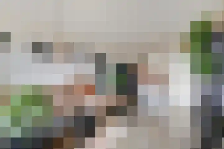 Aalscholversingel 566 Velp thumbnail 15