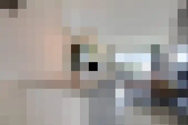 Aalscholversingel 566 Velp thumbnail 18