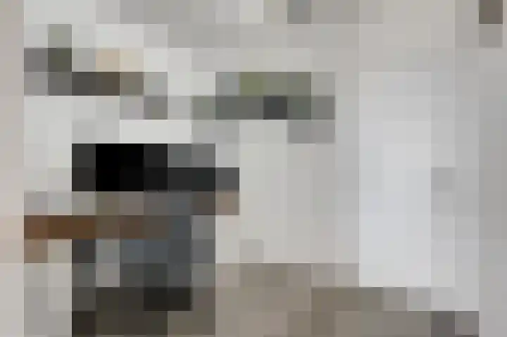 Aalscholversingel 566 Velp thumbnail 19