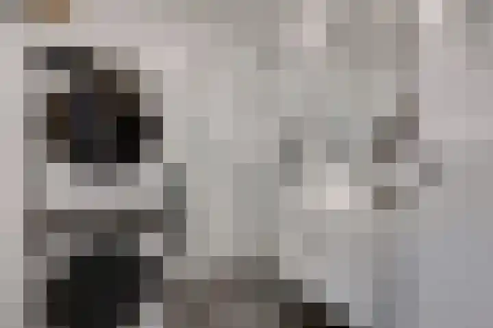 Aalscholversingel 566 Velp thumbnail 20