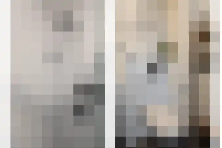 Aalscholversingel 566 Velp thumbnail 21