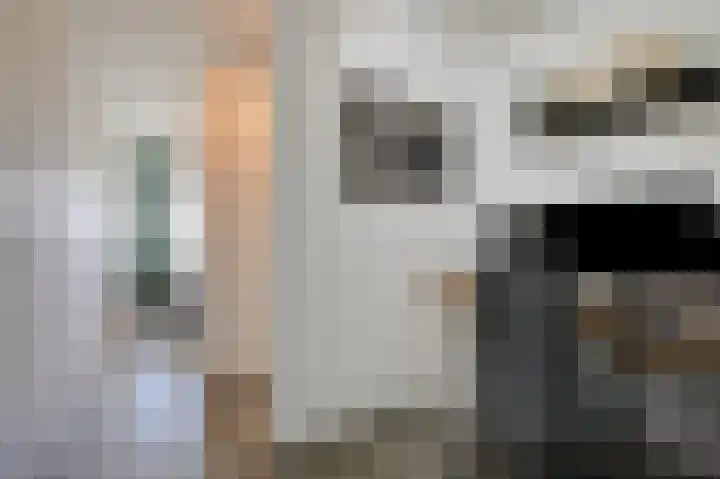 Aalscholversingel 566 Velp thumbnail 22