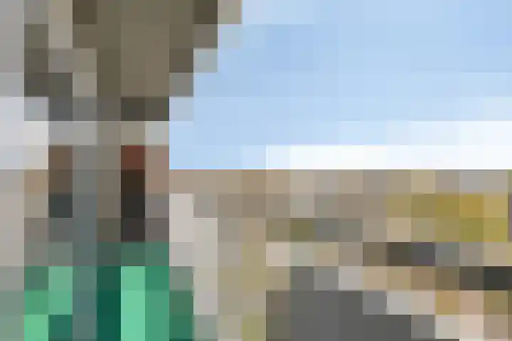 Aalscholversingel 566 Velp thumbnail 25