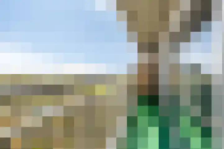 Aalscholversingel 566 Velp thumbnail 26