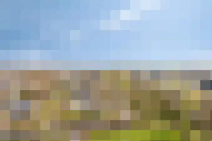 Aalscholversingel 566 Velp thumbnail 27