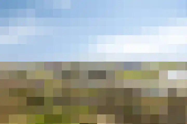 Aalscholversingel 566 Velp thumbnail 28