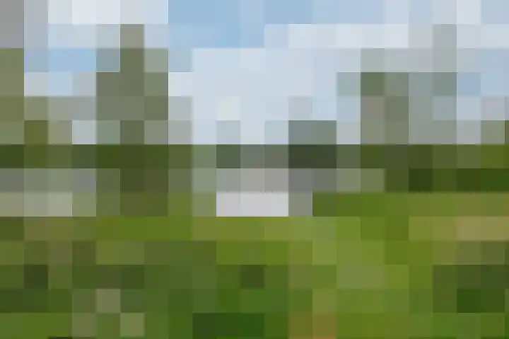 Aalscholversingel 566 Velp thumbnail 31