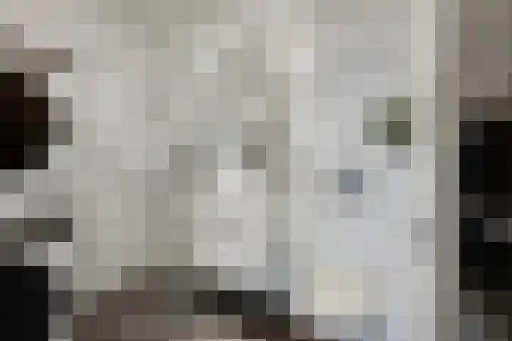 Aalscholversingel 566 Velp thumbnail 4