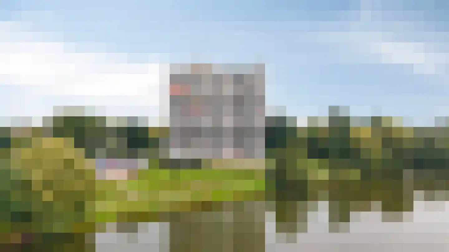 Aalscholversingel 576 Velp thumbnail 4