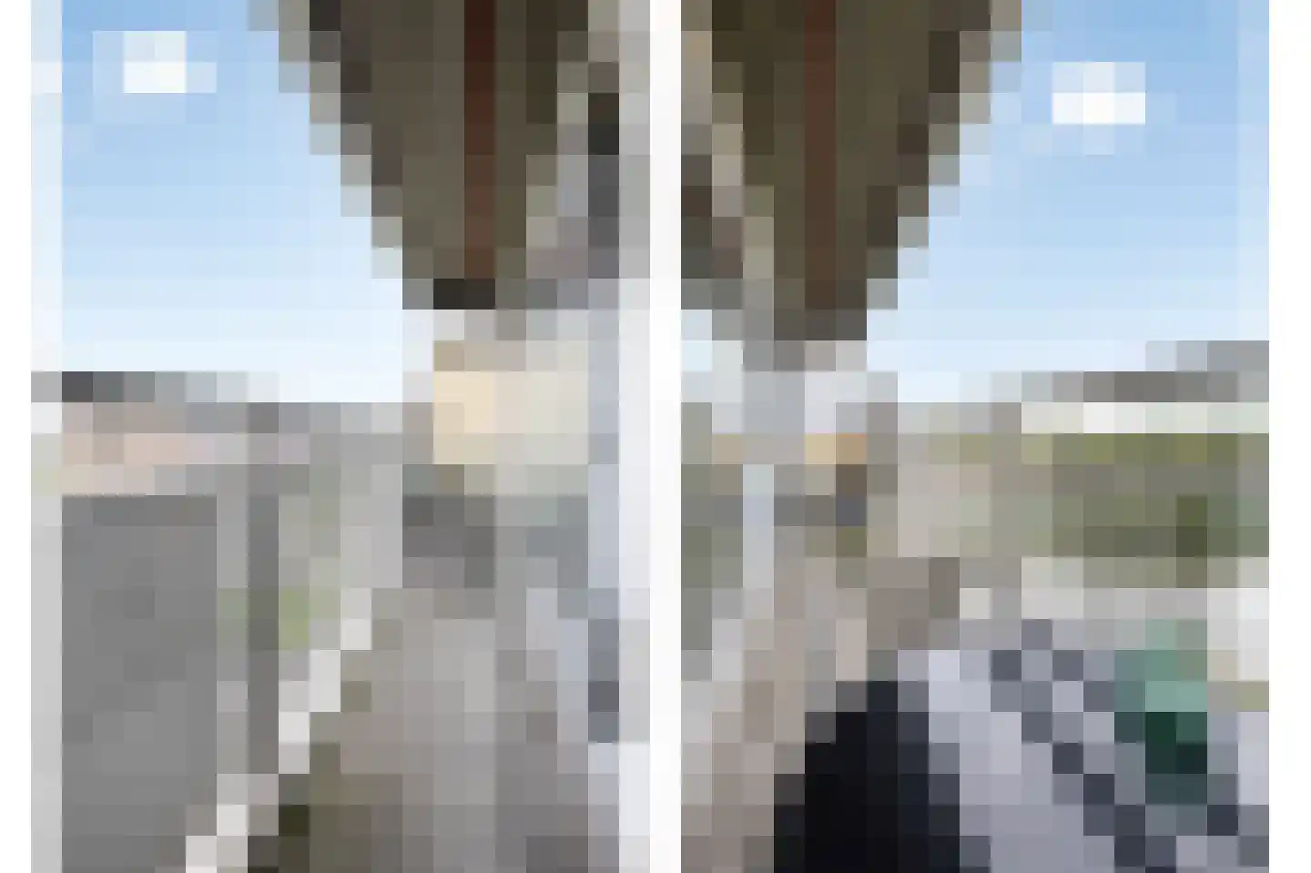 Aalscholversingel 576 Velp thumbnail 7