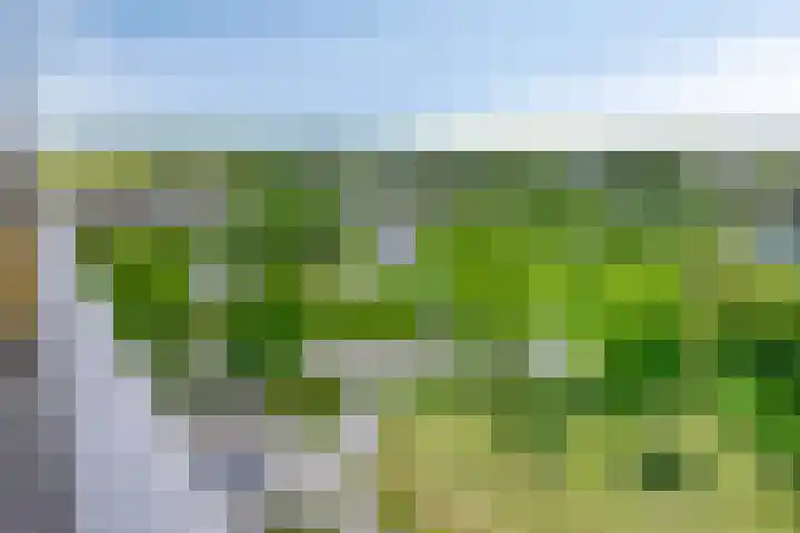 Aalscholversingel 584 Velp thumbnail 18