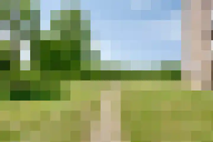 Aalscholversingel 584 Velp thumbnail 19
