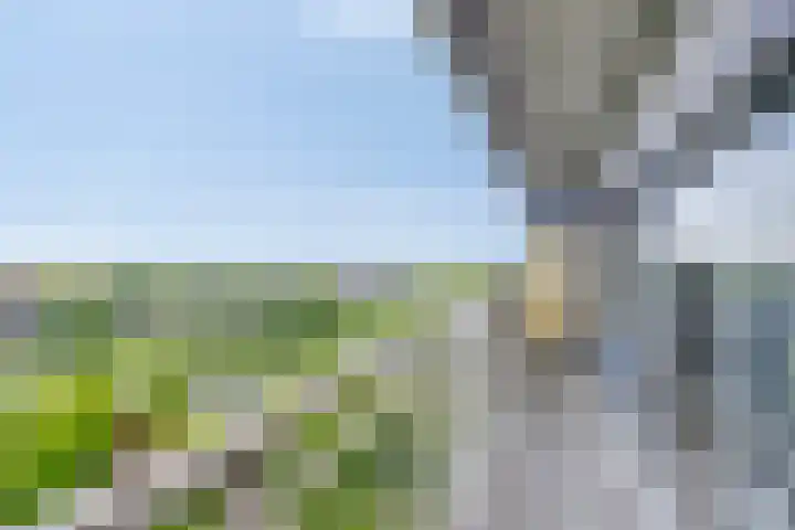 Aalscholversingel 584 Velp thumbnail 6