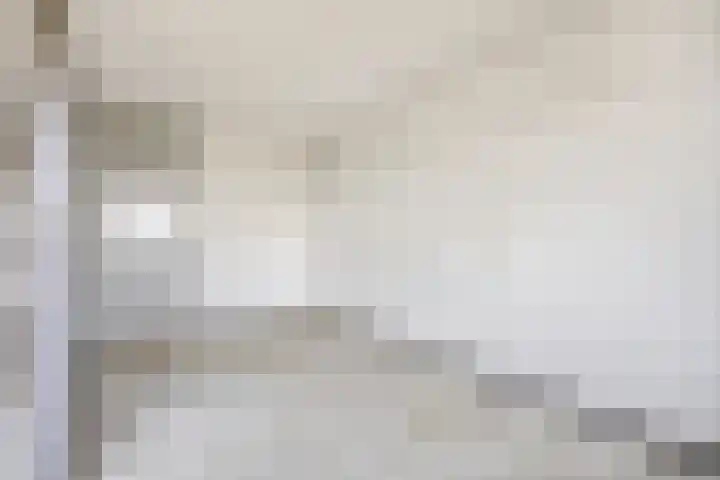 Aalscholversingel 586 Velp thumbnail 12