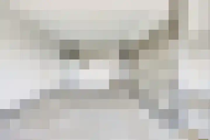 Aalscholversingel 586 Velp thumbnail 15