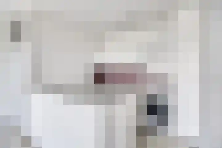 Aalscholversingel 586 Velp thumbnail 16