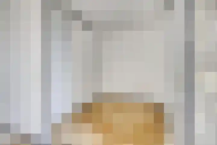 Aalscholversingel 586 Velp thumbnail 19