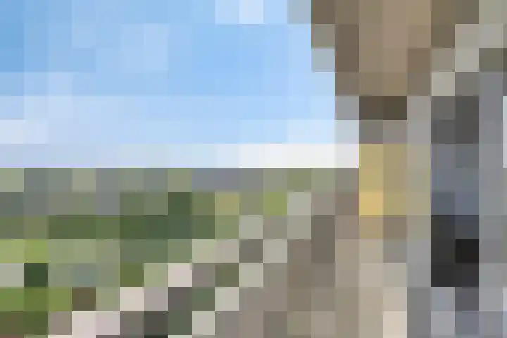 Aalscholversingel 586 Velp thumbnail 22
