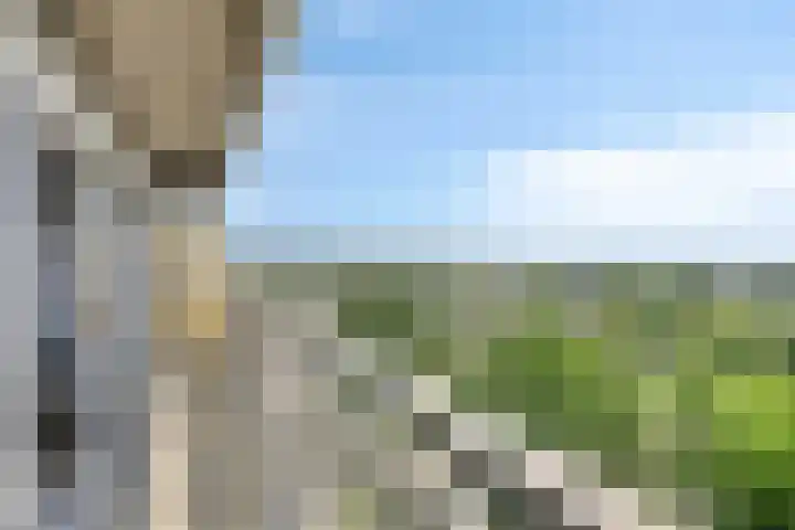 Aalscholversingel 586 Velp thumbnail 23