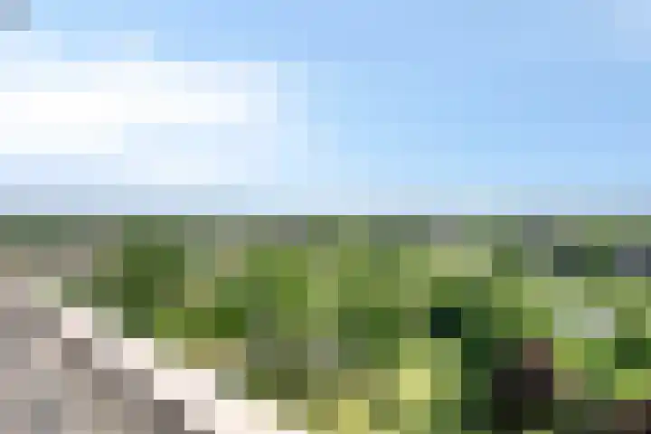Aalscholversingel 586 Velp thumbnail 24