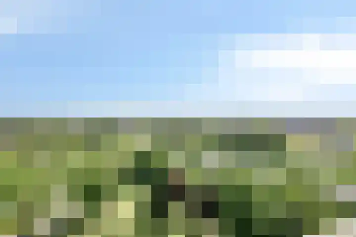Aalscholversingel 586 Velp thumbnail 25
