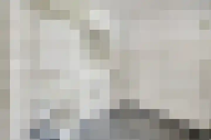 Aalscholversingel 586 Velp thumbnail 27