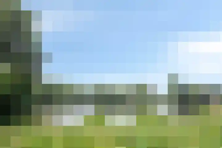 Aalscholversingel 586 Velp thumbnail 31
