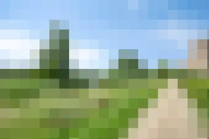 Aalscholversingel 586 Velp thumbnail 32