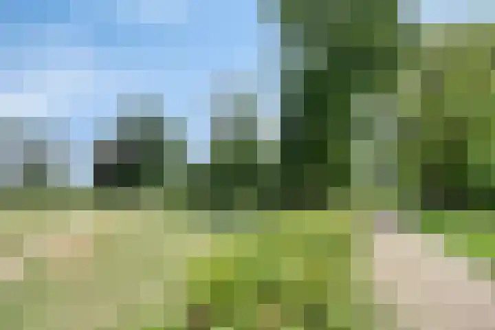 Aalscholversingel 586 Velp thumbnail 33