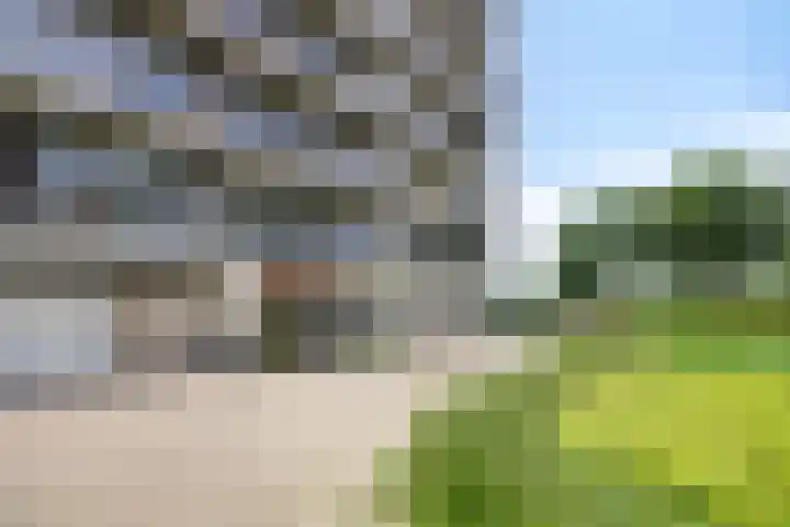 Aalscholversingel 586 Velp thumbnail 36